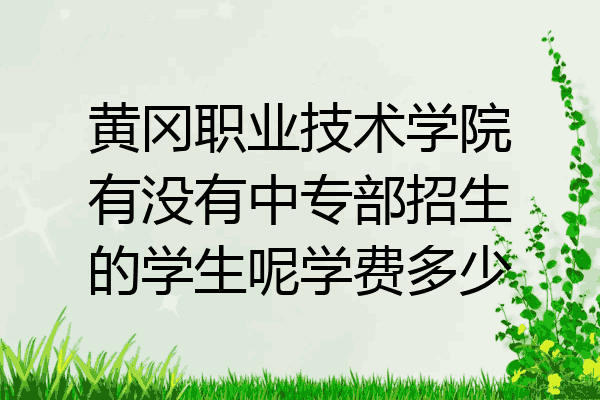 黄冈职业技术学院有没有中专部招生的学生呢学费多少