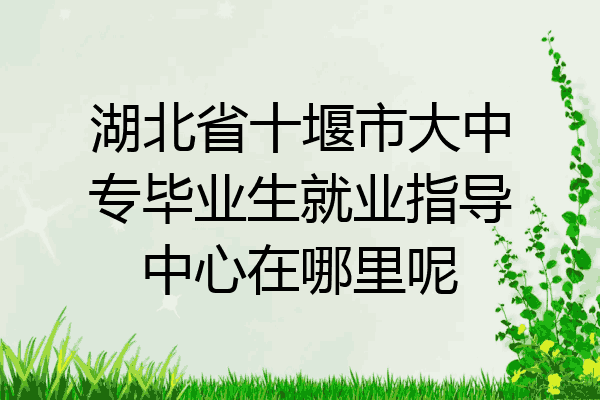 湖北省十堰市大中专毕业生就业指导中心在哪里呢
