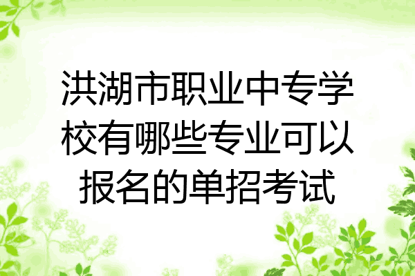 洪湖市职业中专学校有哪些专业可以报名的单招考试