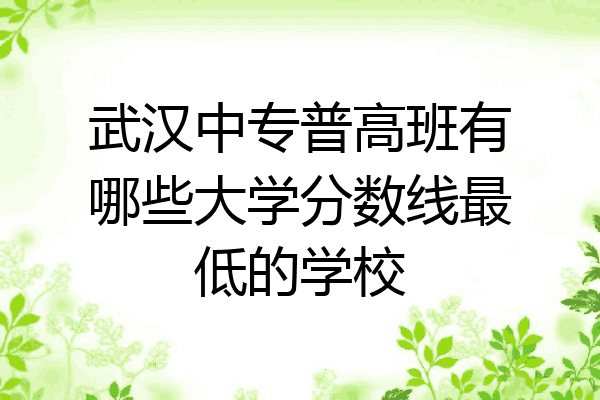 武汉中专普高班有哪些大学分数线最低的学校