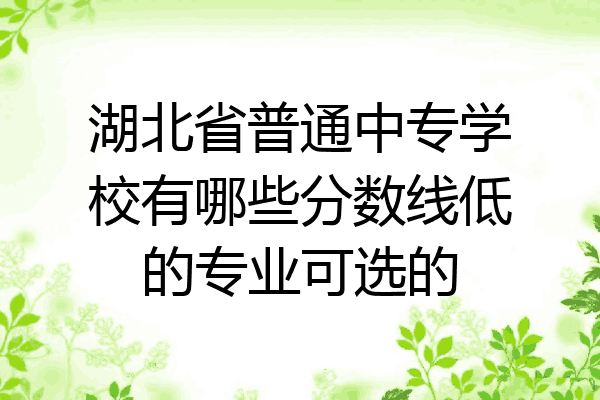 湖北省普通中专学校有哪些分数线低的专业可选的