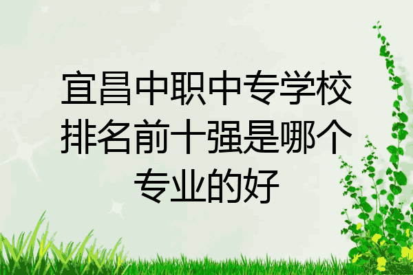 宜昌中职中专学校排名前十强是哪个专业的好