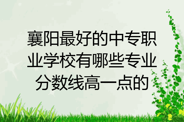襄阳最好的中专职业学校有哪些专业分数线高一点的