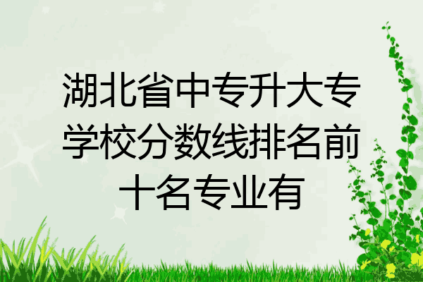 湖北省中专升大专学校分数线排名前十名专业有