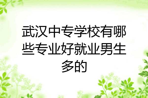 武汉中专学校有哪些专业好就业男生多的