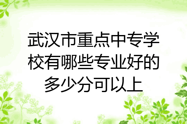 武汉市重点中专学校有哪些专业好的多少分可以上