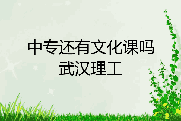 中专还有文化课吗武汉理工