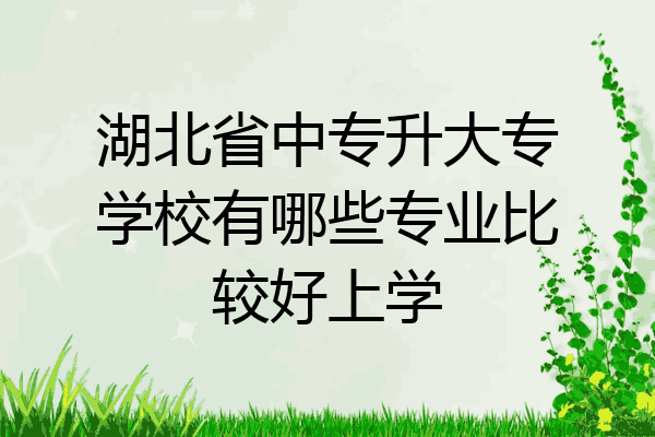湖北省中专升大专学校有哪些专业比较好上学
