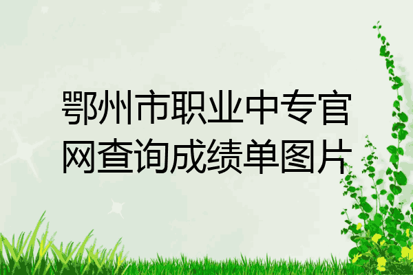 鄂州市职业中专官网查询成绩单图片