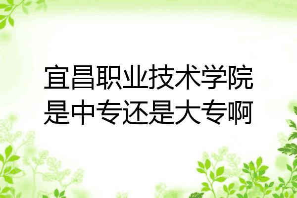 宜昌职业技术学院是中专还是大专啊