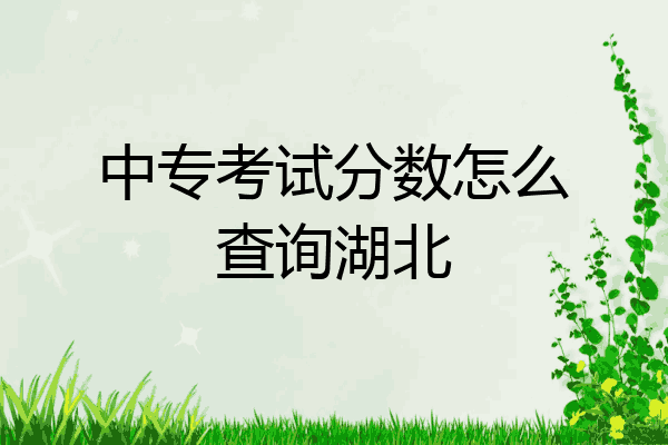 中专考试分数怎么查询湖北