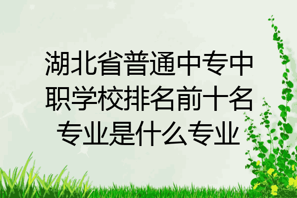 湖北省普通中专中职学校排名前十名专业是什么专业