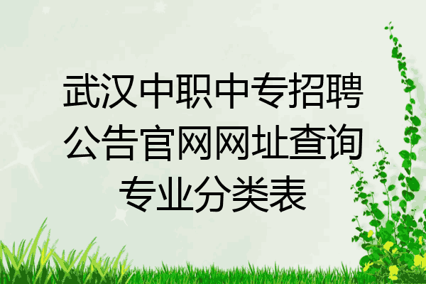 武汉中职中专招聘公告官网网址查询专业分类表