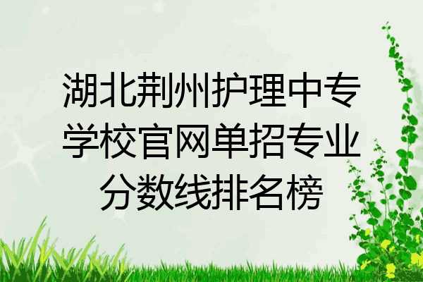 湖北荆州护理中专学校官网单招专业分数线排名榜