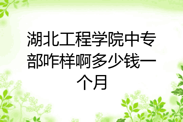 湖北工程学院中专部咋样啊多少钱一个月