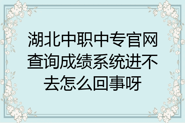 湖北中职中专官网查询成绩系统进不去怎么回事呀