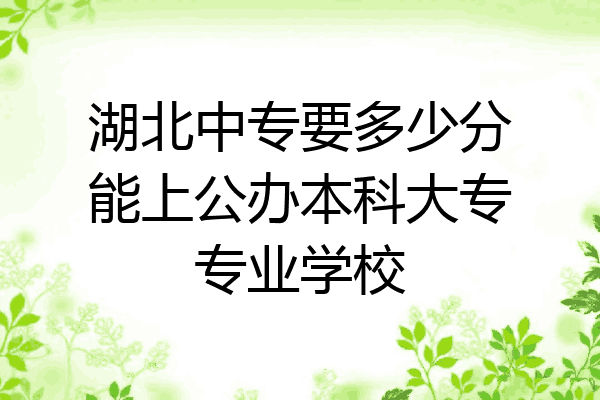 湖北中专要多少分能上公办本科大专专业学校