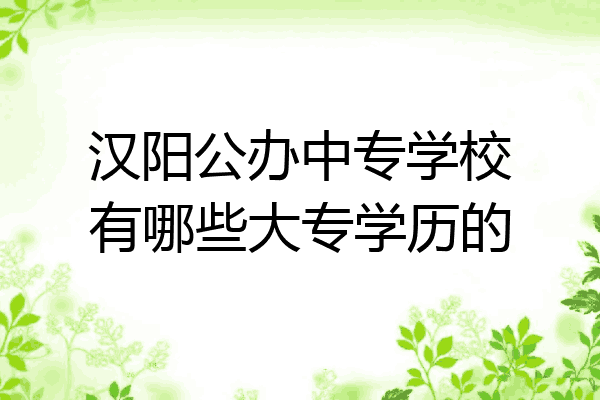 汉阳公办中专学校有哪些大专学历的