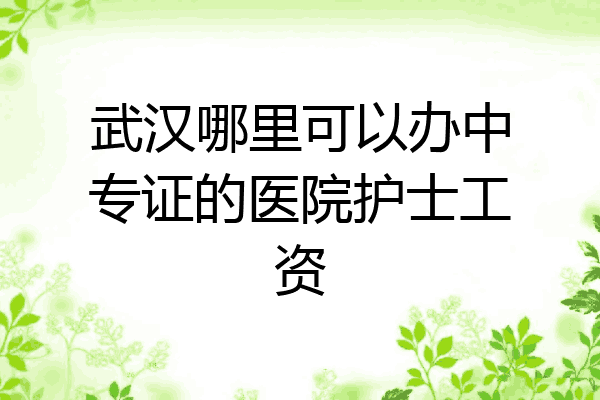 武汉哪里可以办中专证的医院护士工资