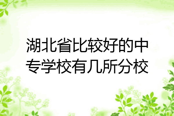 湖北省比较好的中专学校有几所分校