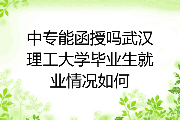 中专能函授吗武汉理工大学毕业生就业情况如何