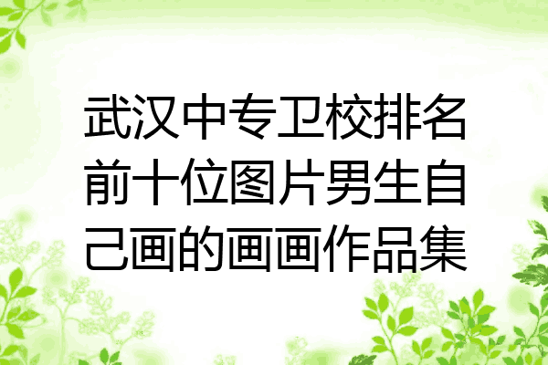 武汉中专卫校排名前十位图片男生自己画的画画作品集