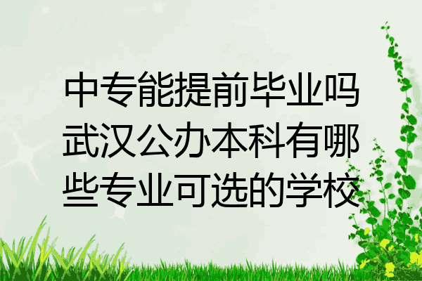 中专能提前毕业吗武汉公办本科有哪些专业可选的学校