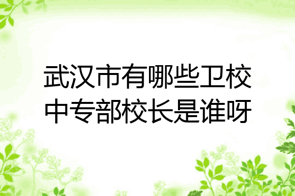 武汉市有哪些卫校中专部校长是谁呀