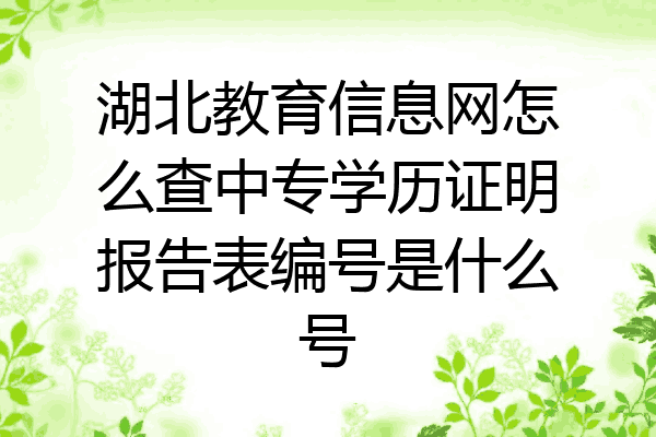 湖北教育信息网怎么查中专学历证明报告表编号是什么号