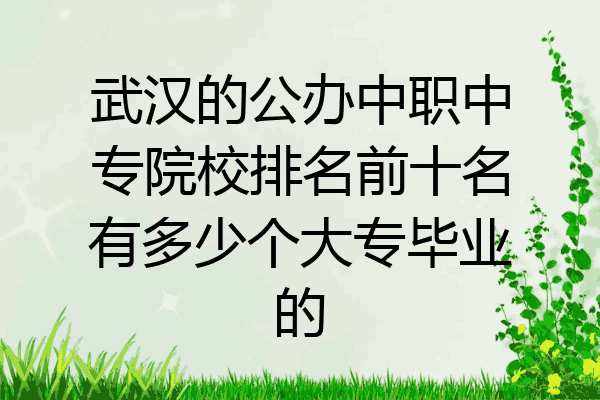武汉的公办中职中专院校排名前十名有多少个大专毕业的