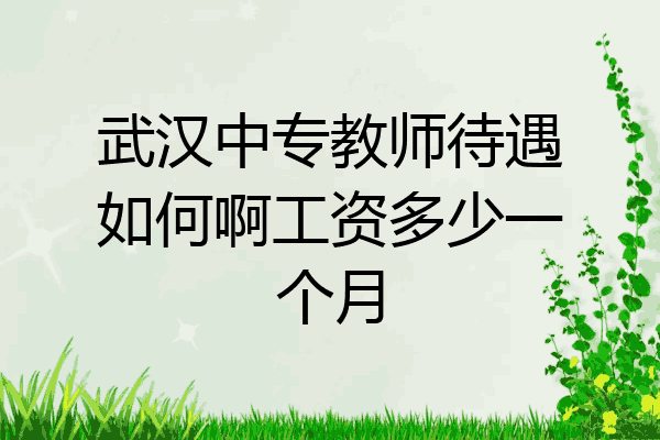 武汉中专教师待遇如何啊工资多少一个月