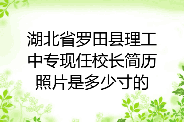 湖北省罗田县理工中专现任校长简历照片是多少寸的