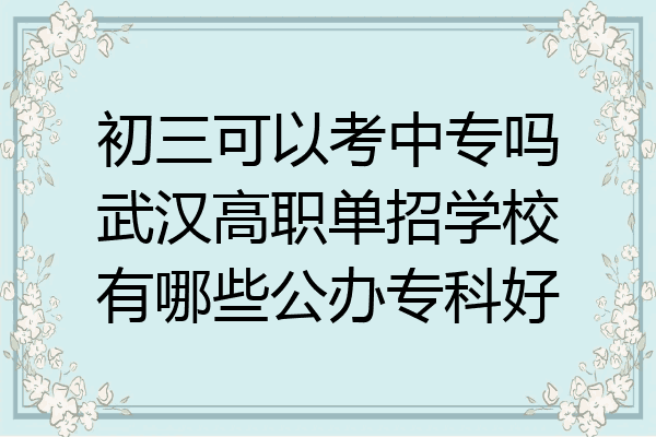 初三可以考中专吗武汉高职单招学校有哪些公办专科好