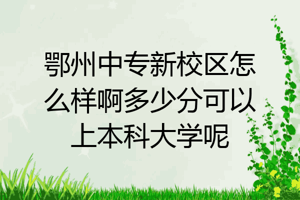鄂州中专新校区怎么样啊多少分可以上本科大学呢
