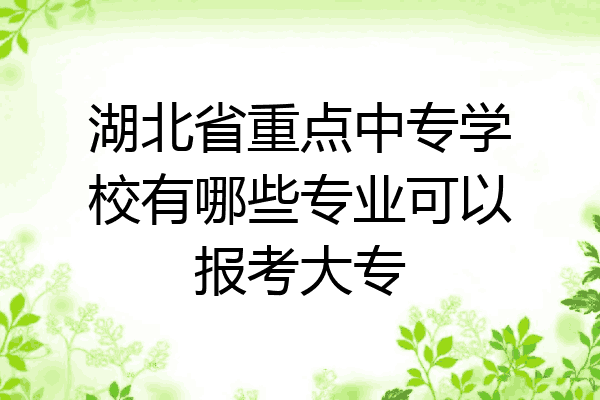 湖北省重点中专学校有哪些专业可以报考大专