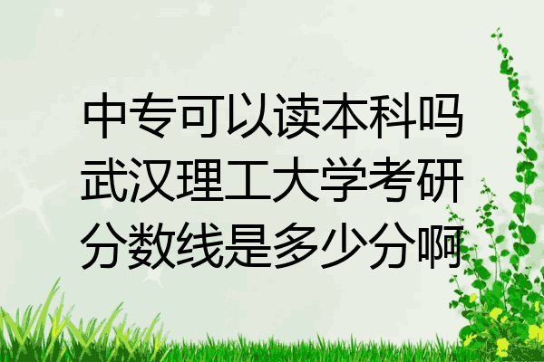 中专可以读本科吗武汉理工大学考研分数线是多少分啊