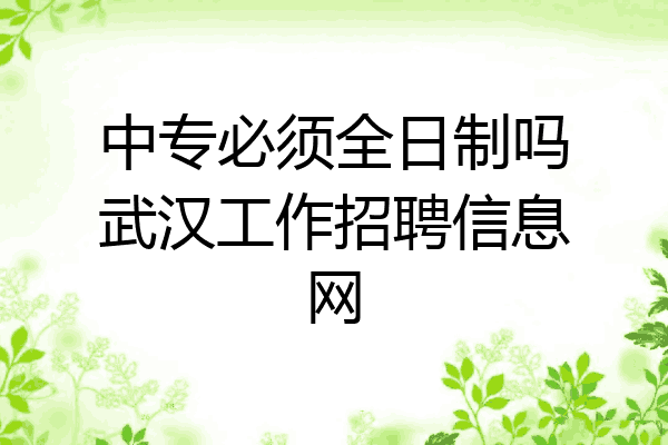 中专必须全日制吗武汉工作招聘信息网