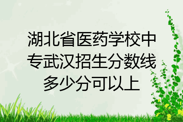 湖北省医药学校中专武汉招生分数线多少分可以上