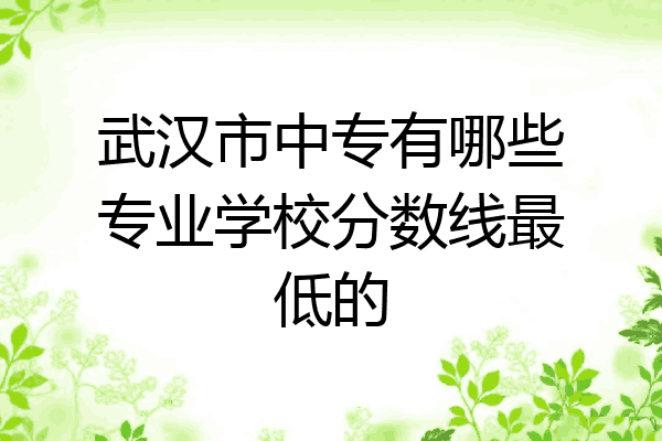 武汉市中专有哪些专业学校分数线最低的