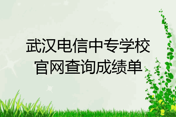武汉电信中专学校官网查询成绩单