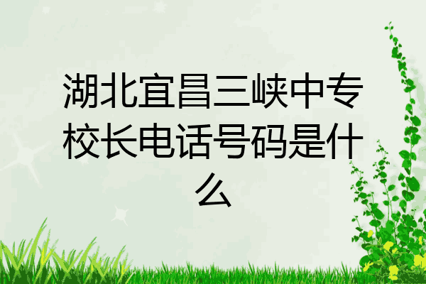 湖北宜昌三峡中专校长电话号码是什么