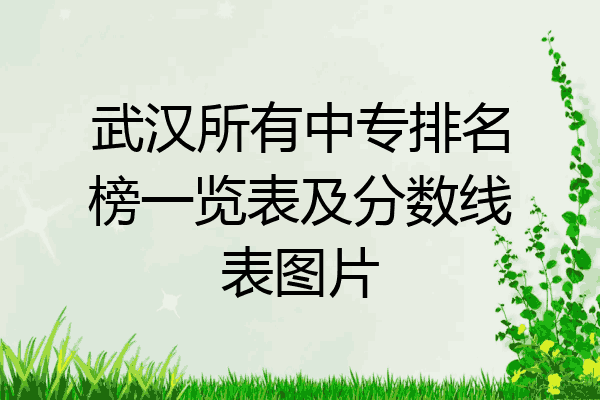 武汉所有中专排名榜一览表及分数线表图片