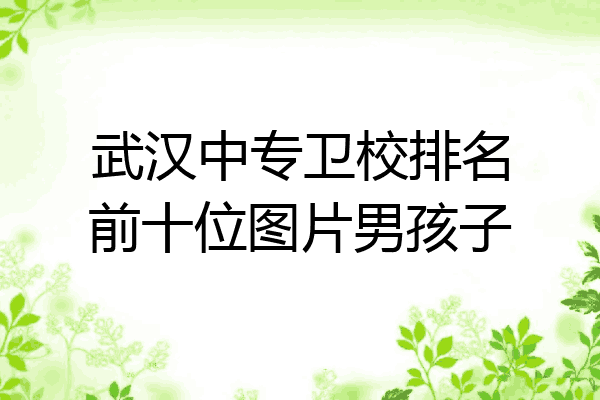 武汉中专卫校排名前十位图片男孩子