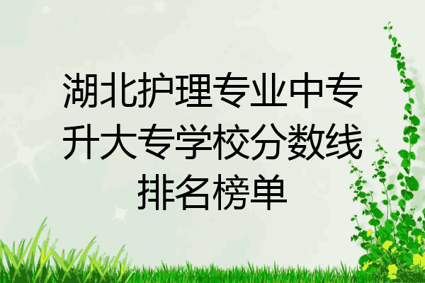 湖北护理专业中专升大专学校分数线排名榜单