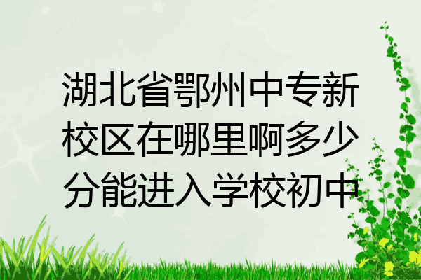 湖北省鄂州中专新校区在哪里啊多少分能进入学校初中
