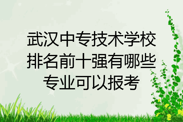 武汉中专技术学校排名前十强有哪些专业可以报考