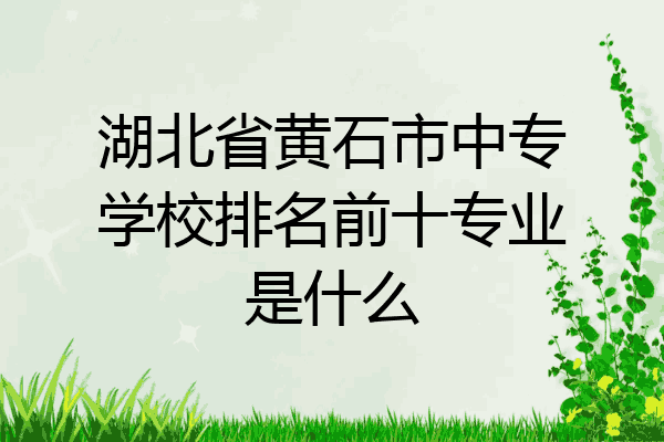湖北省黄石市中专学校排名前十专业是什么