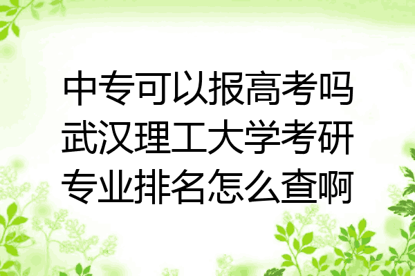中专可以报高考吗武汉理工大学考研专业排名怎么查啊