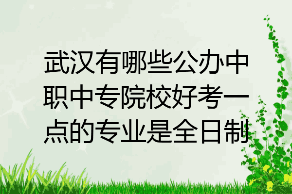 武汉有哪些公办中职中专院校好考一点的专业是全日制