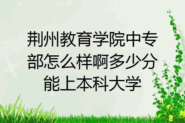 荆州教育学院中专部怎么样啊多少分能上本科大学